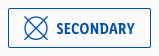 Secondary with icon